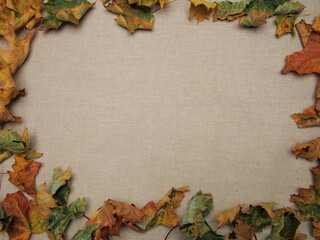 Naklejka na ściany i meble autumn background with dry maple leaves on a gray linen background, fallen colorful leaves, brown wallpaper,