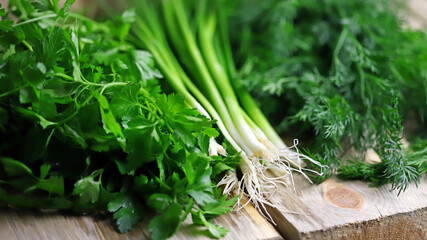 Fototapeta premium Selective focus. Macro. Fresh greens on a wood surface. Dill, parsley, green onions. Green herbs for preparing healthy meals.