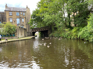 Fototapeta na wymiar Rochdale canal, with houses, ducks, and old trees, in the heart of, Sowerby Bridge, Halifax, UK