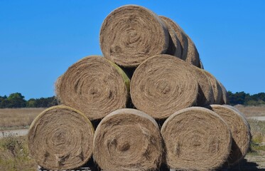 Hay bale (ballots de foin),  France, Europe. 