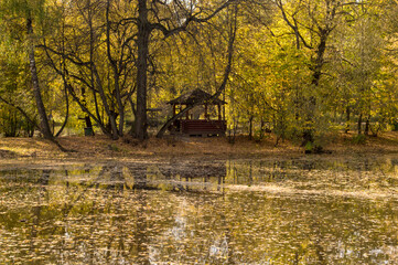 Autumn trees near the water. Yellow foliage on the trees.
