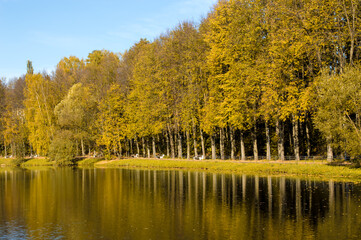 Autumn forest lake water landscape