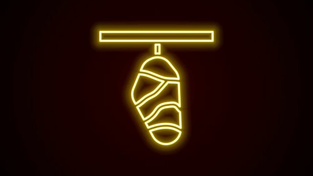 Glowing neon line Butterfly cocoon icon isolated on black background. Pupa of the butterfly. 4K Video motion graphic animation