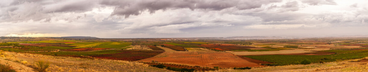 Panoramic view of vineyards in autumn, variety of colors ocher, red, orange, brown, green giving life to the beautiful landscapes of La Rioja Spain