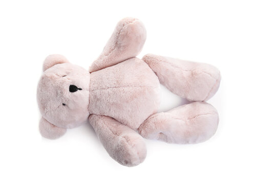 Cute teddy bear isolated on white. Child's toy