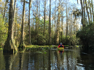 person in a kayak in beautiful back county swamp