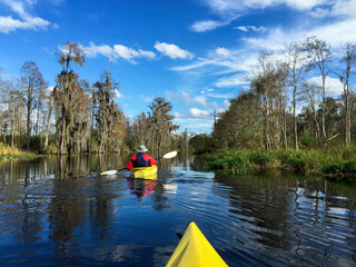 kayakers in Okefenokee Swamp
