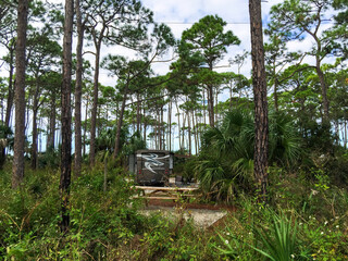 RV campsite surrounded by tall pines at St. Joseph Peninsula State Park on the Florida panhandle.