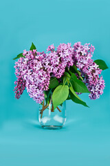 Blossoming branches of lilac (Syringa vulgaris). Bouquet of violet flowers in a glass vase on a blue background.
