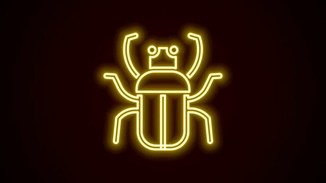 Glowing neon line Stink bug icon isolated on black background. 4K Video motion graphic animation