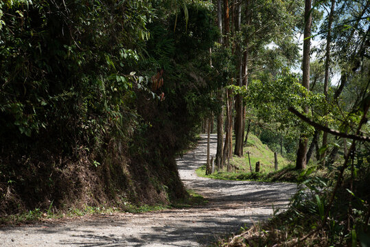 Camino rural en Jerico 