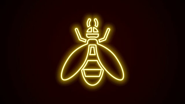 Glowing neon line Bee icon isolated on black background. Sweet natural food. Honeybee or apis with wings symbol. Flying insect. 4K Video motion graphic animation