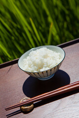 ご飯