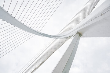 Fototapeta na wymiar Bridge cables of Baisha Bridge in Liuzhou, Guangxi
