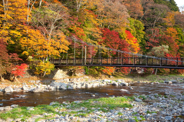 紅葉の塩原渓谷