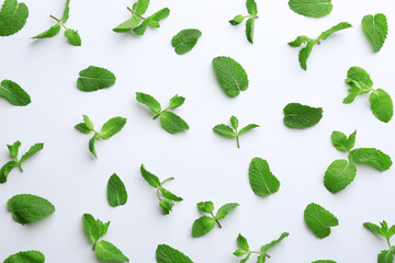Fresh mint leaves on white background, flat lay