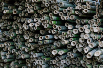 Green, hollow bamboo trunks or poles arranged in a pile. 