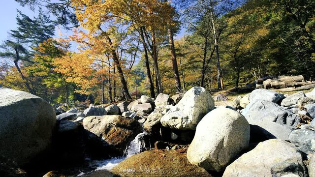 山梨県道志村、秋の清流