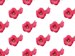 Mallow double pink flower isolated on a white background. For design. Seamless patterns. Seamless pattern with Mallow flower pattern. Repeating pattern for decorative Wallpaper. 