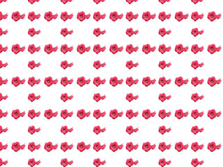 Red gladiolus on a background of green plants. Gladioli close-up. The flower is dark red with a fiery hue, lush with a dense texture of petals. Inflorescence straight, two-row.