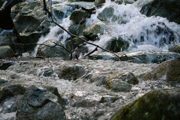 森の中の激しく流れる小さな川