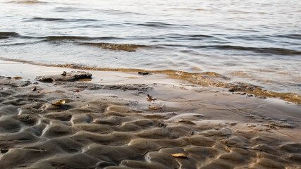 Tennessee River Beach Front, Clifton, TN