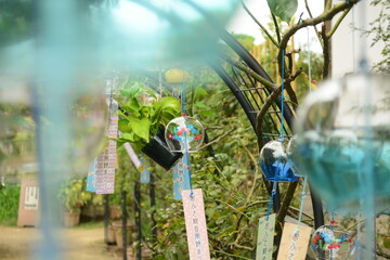 おふさ観音の風鈴まつり