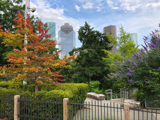 white fence in the park