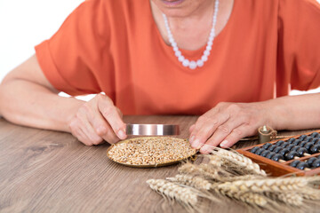 Agricultural scientists are spot-checking the harvest of new wheat that year