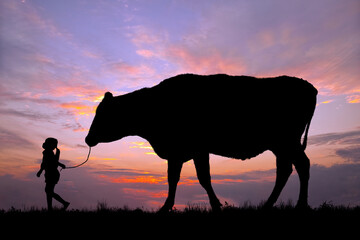 Fototapeta na wymiar 夕陽を背景に草原の牧場で牛を曳く女の子のシルエット