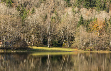 Beautiful autumn landscape of the lake with a gray tree and reflection in the lake. Selective focus, travel photo, concept photo autumn in nature.