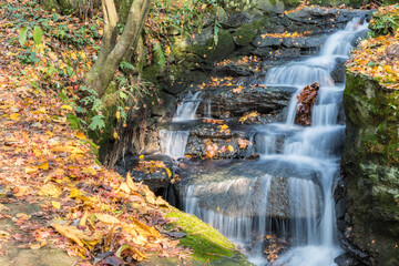 stream and fallen leaves in autumn