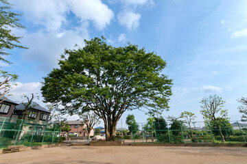 回田けやき公園（東京都小平市回田町）