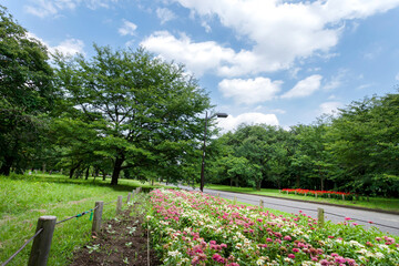 都立小金井公園（東京都小金井市）