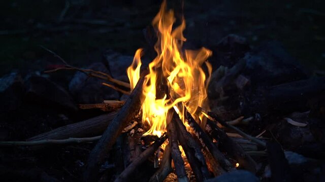 relaxing campfire and crackling fire wood