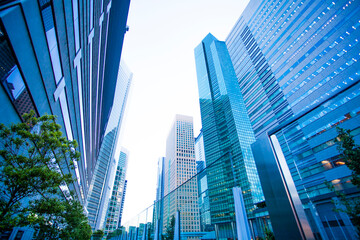 Obraz premium 汐留のビル群