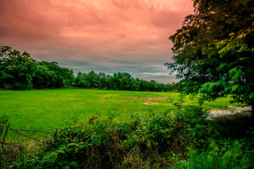 Obraz premium Wat Thung Si Muang-UbonRatchathani: June 21 2020, atmosphere inside the religious tourist attraction, tourists come to make merit and see the sculpture in the temple inNai Mueang,Thailand