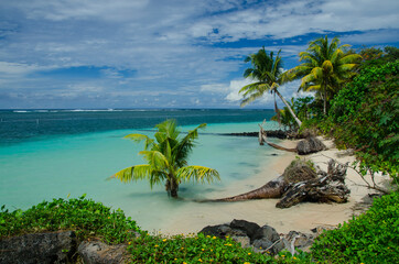 Landscape of the sea surrounded by the beach and palm trees under a cloudy sky in Manase, Samoa