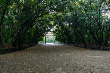 Fototapeta premium 鳥居から伸びる参道