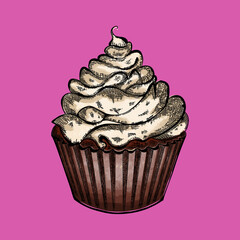 Sketched vector tiramisu with strawberry. Traditional italian dessert in etching style. 