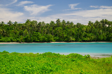 Landscape of the sea surrounded by greenery under a blue cloudy sky in the Savai'i Island, Samoa