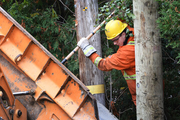 Specialized worker installing a new electrical pole