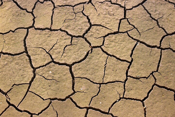 cracked bottom of a dry river swamp