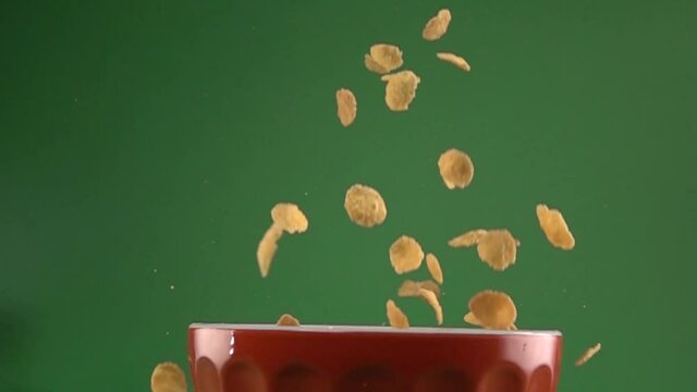 Corn flakes slowly falling on a plate on a chroma background.