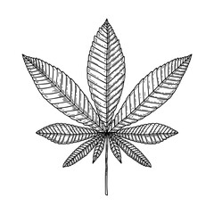 Illustration of marijuana leaf in engraving style. Design element for poster, card, banner, sign. Vector illustration