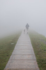 Person from behind walking dog on misty morning
