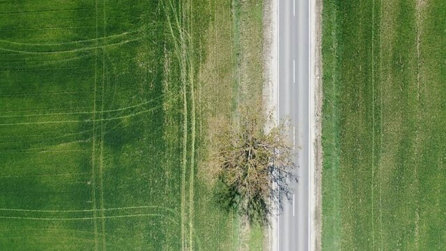 Road drone view sring in hungary.