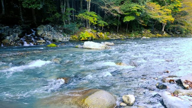 山梨県道志村の清流