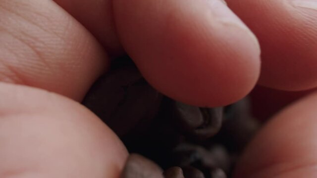 detail shot of a caucasian hand controlling the quality of a handful of roasted coffee beans. Commercial soft light from the left.