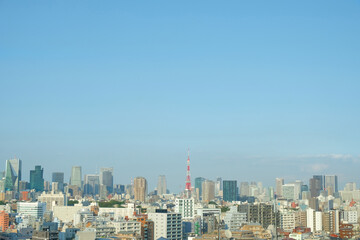 Fototapeta na wymiar 東京のビル群と東京タワー 